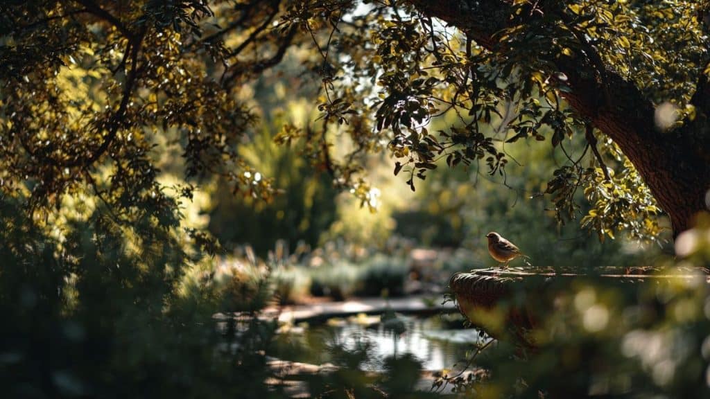 Attirer les oiseaux dans votre jardin facilement